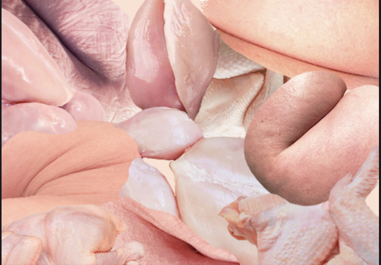 DEFROSTED CHICKEN